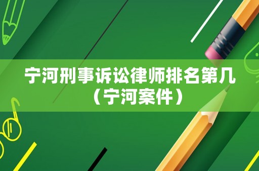 寧河刑事訴訟律師排名第幾（寧河案件）