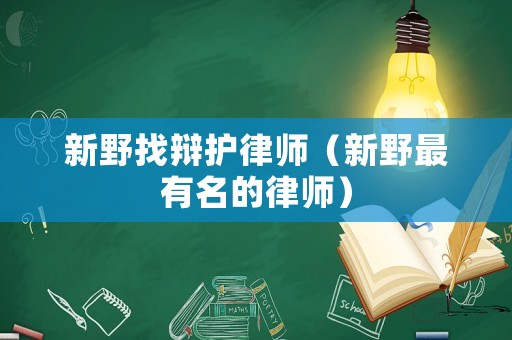 新野找辯護律師（新野最有名的律師）