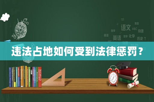 違法占地如何受到法律懲罰？