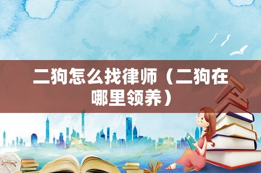 二狗怎么找律師（二狗在哪里領(lǐng)養(yǎng)）