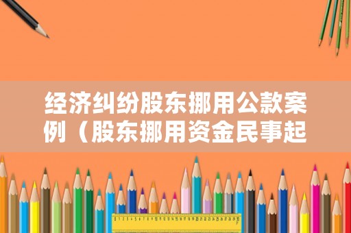經(jīng)濟糾紛股東挪用公款案例（股東挪用資金民事起訴）
