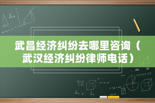 武昌經濟糾紛去哪里咨詢（武漢經濟糾紛律師電話）