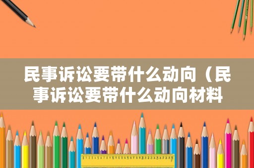 民事訴訟要帶什么動向（民事訴訟要帶什么動向材料）