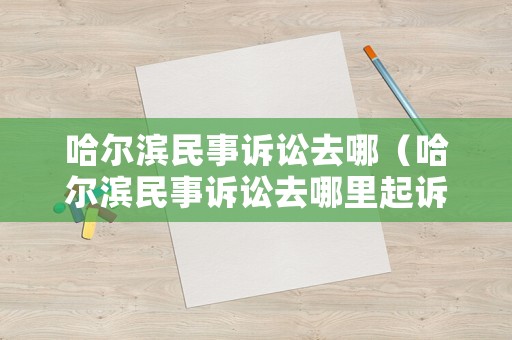 哈爾濱民事訴訟去哪（哈爾濱民事訴訟去哪里起訴）