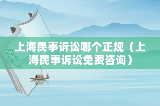 上海民事訴訟哪個正規（上海民事訴訟免費咨詢）