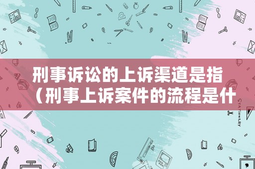 刑事訴訟的上訴渠道是指（刑事上訴案件的流程是什么）