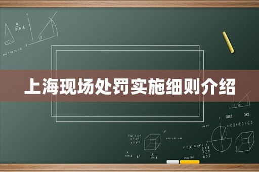 上海現場處罰實施細則介紹