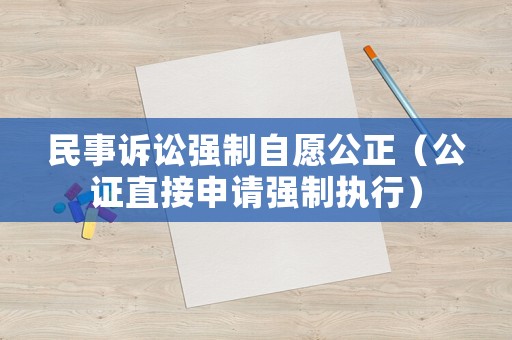 民事訴訟強制自愿公正（公證直接申請強制執行）