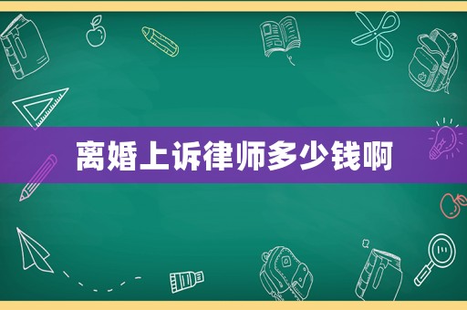 離婚上訴律師多少錢啊