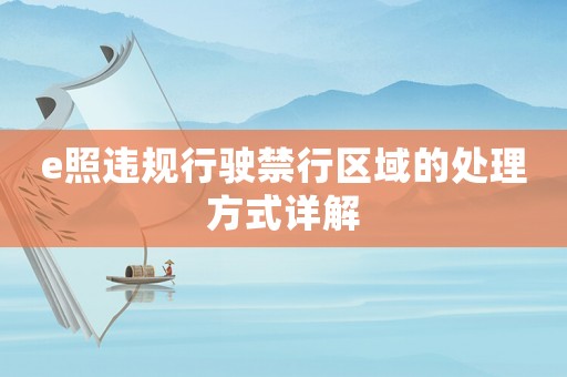 e照違規行駛禁行區域的處理方式詳解
