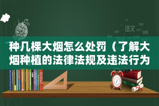 種幾棵大煙怎么處罰（了解大煙種植的法律法規(guī)及違法行為的處理方式）