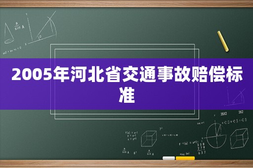 2005年河北省交通事故賠償標(biāo)準(zhǔn)