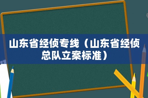山東省經偵專線（山東省經偵總隊立案標準）