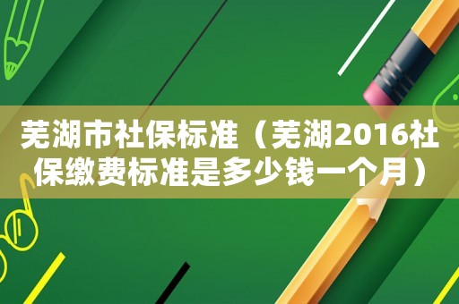 蕪湖市社保標準（蕪湖2016社保繳費標準是多少錢一個月）