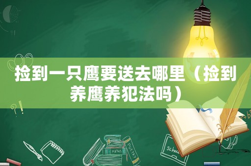 撿到一只鷹要送去哪里（撿到養(yǎng)鷹養(yǎng)犯法嗎）