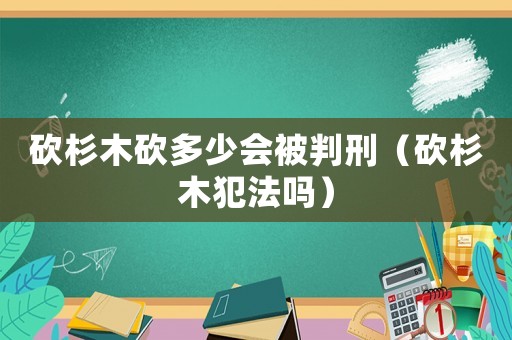 砍杉木砍多少會被判刑（砍杉木犯法嗎）