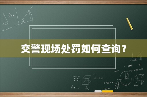 交警現場處罰如何查詢？