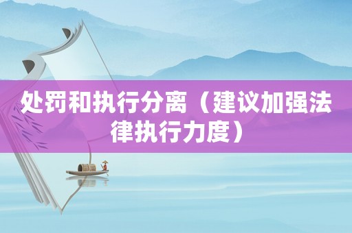 處罰和執行分離（建議加強法律執行力度）