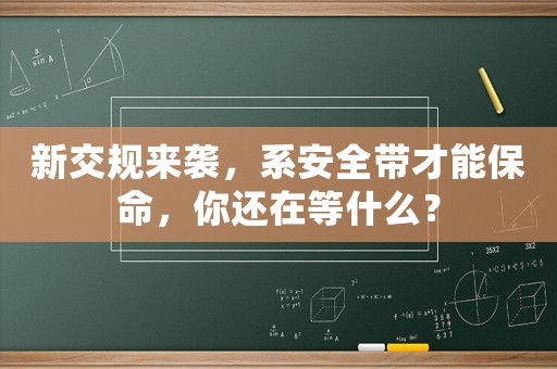 新交規(guī)來襲，系安全帶才能保命，你還在等什么？