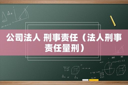 公司法人 刑事責(zé)任（法人刑事責(zé)任量刑）