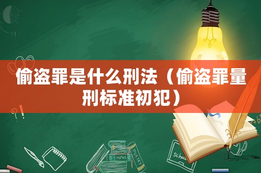 偷盜罪是什么刑法（偷盜罪量刑標(biāo)準(zhǔn)初犯）