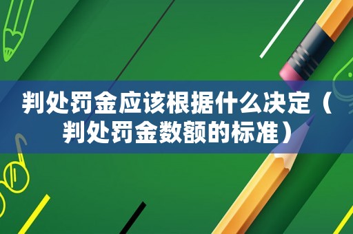 判處罰金應該根據什么決定（判處罰金數額的標準）